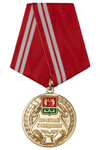 Медаль «Почетный гражданин Тюкалинского района Омской области» с бланком удостоверения