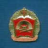 Знак «Выпуск 2009 г. Северо-кавказское суворовское военное училище»
