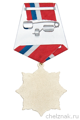 Реверс награды Знак на колодке «70 лет СВУ России»