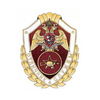 Нагрудный знак Росгвардии «Отличник службы в воинских частях (подразделениях) специального назначения, разведывательных воинских частях (подразделениях)»