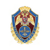 Нагрудный знак Росгвардии «Отличник службы в авиационных воинских частях (подразделениях)»