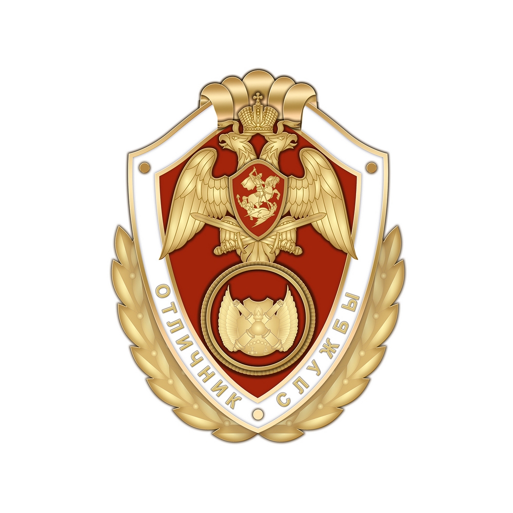Нагрудный знак Росгвардии «Отличник службы в воинских частях (подразделениях) технического обеспечения»