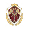 Нагрудный знак Росгвардии «Отличник службы в воинских частях (подразделениях) связи и автоматизации»