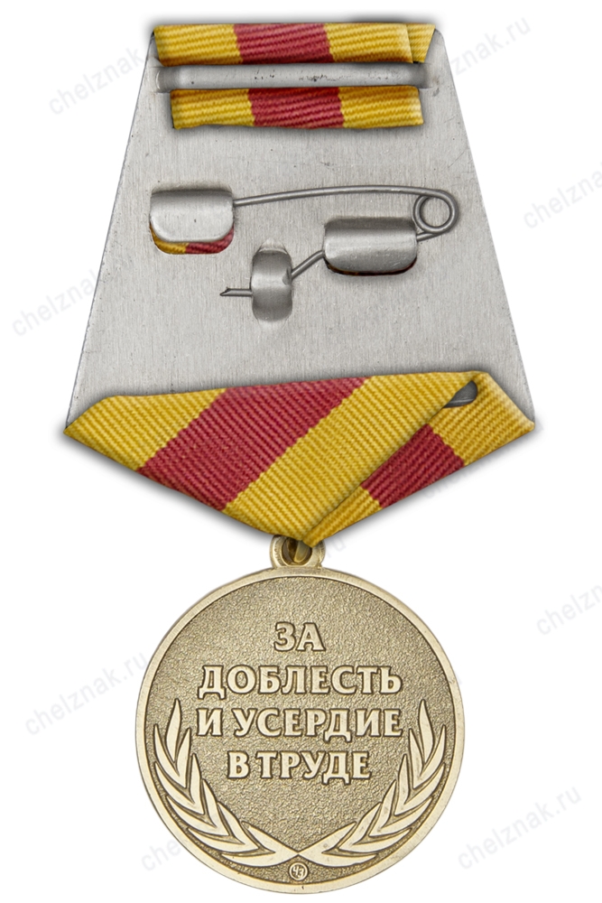 Реверс награды Медаль «100 лет Госсанэпидслужбе России. За доблесть и усердие в труде» с бланком удостоверения