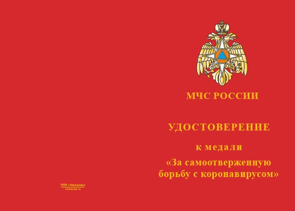 Лицевая сторона награды Медаль МЧС «За самоотверженную борьбу с коронавирусом» с бланком удостоверения