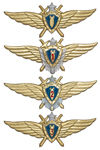 Знак классности ВВС н/о летчик-штурман