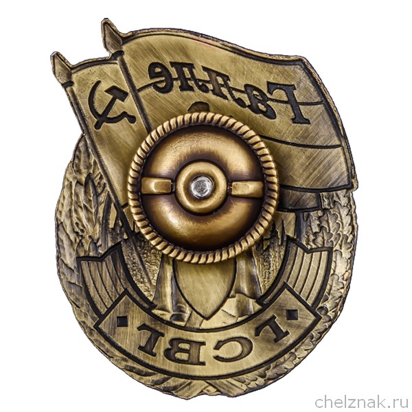 Реверс награды Знак ГСВГ «Галле»