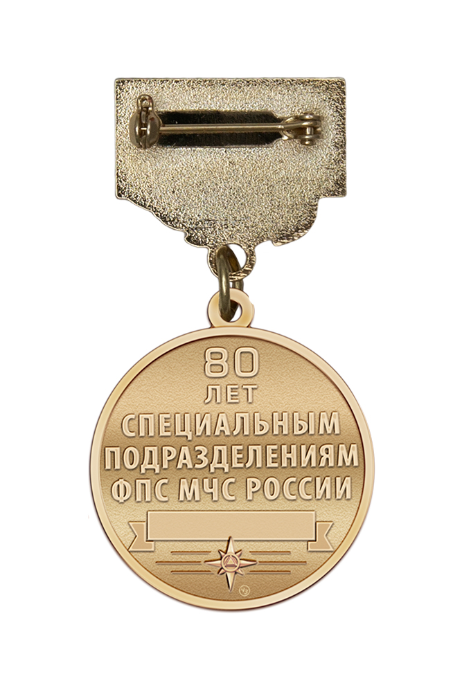 Реверс награды Знак «Ветеран специальных подразделений ФПС МЧС РФ» с бланком удостоверения
