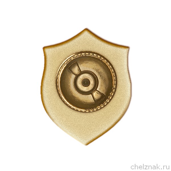 Реверс награды Фрачный значок «110 лет ВВС России»