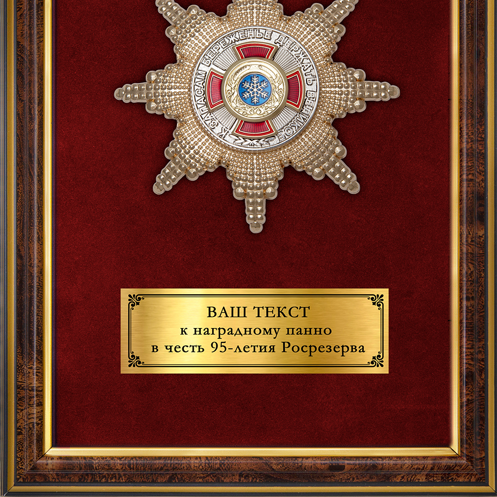 Обратная сторона награды Наградное панно с орденом «95 лет Росрезерву»