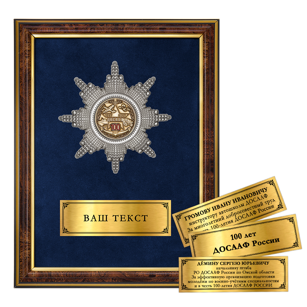 Лицевая сторона награды Панно с орденским знаком «100 лет ДОСААФ»