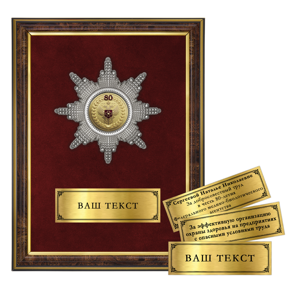 Лицевая сторона награды Наградное панно «80 лет Федеральному медико-биологическому агентству»
