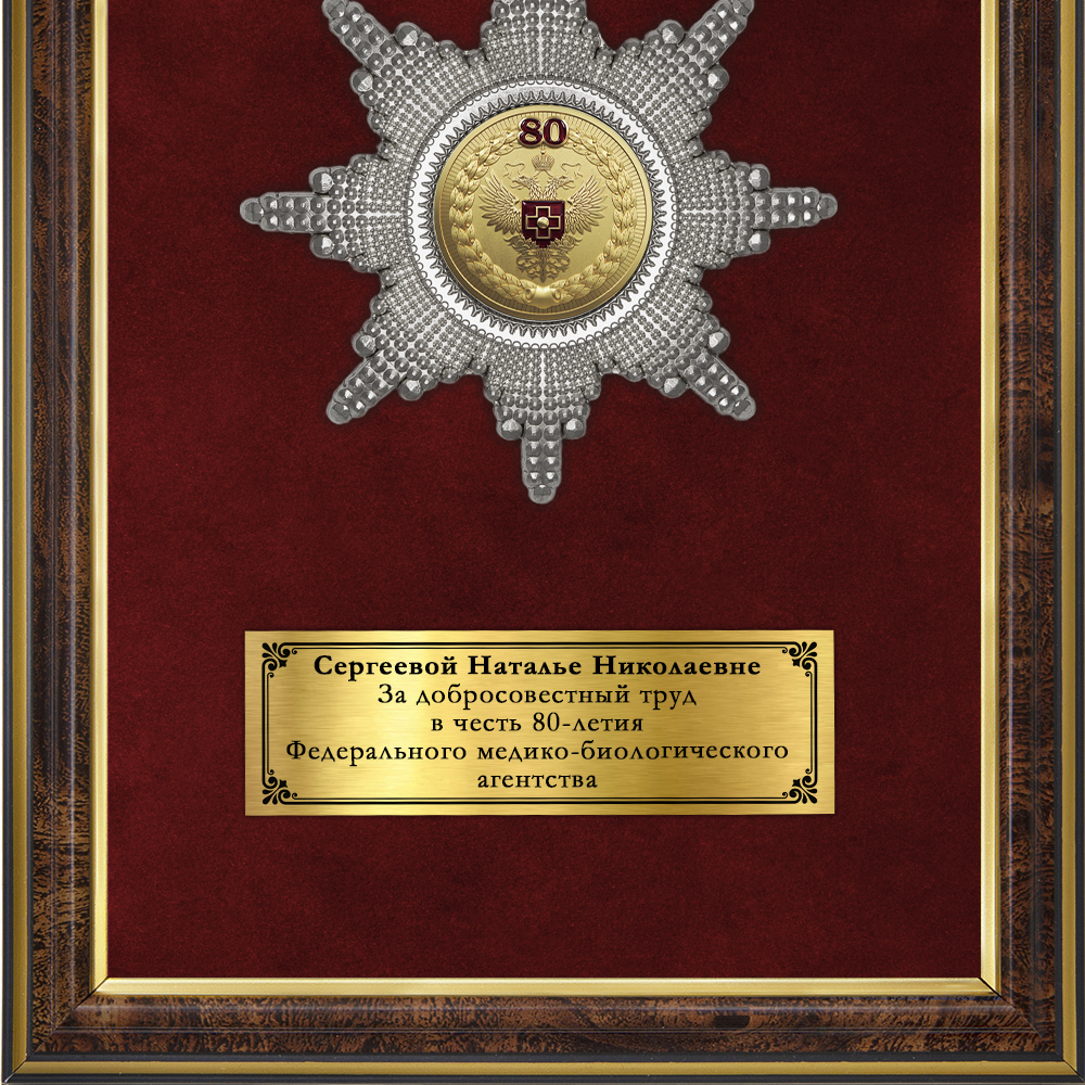 Обратная сторона награды Наградное панно «80 лет Федеральному медико-биологическому агентству»