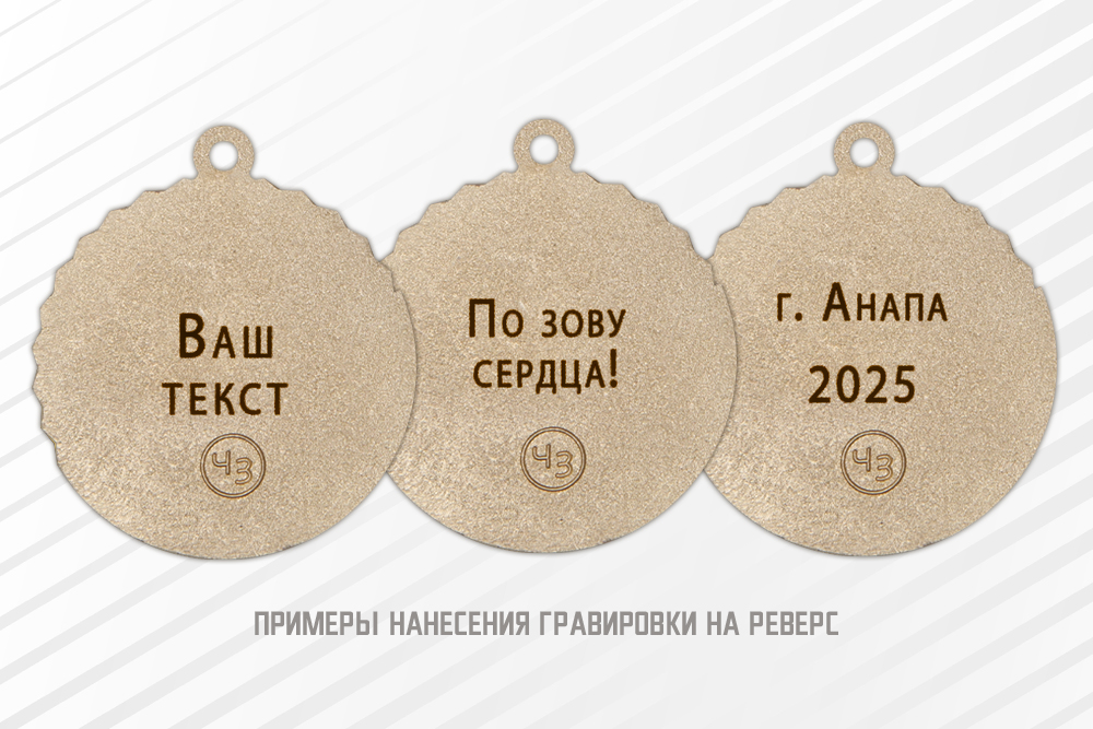 Медаль «Волонтёр СВО» с бланком удостоверения, дополнительное фото 1
