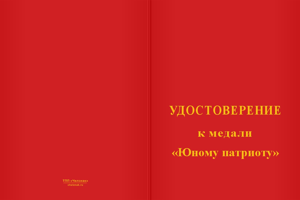Бланк лицевая сторона Медаль «Юному патриоту» с бланком удостоверения