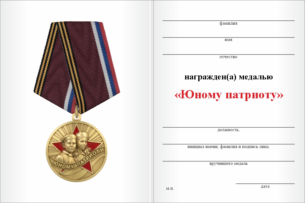Бланк оборотная сторона Медаль «Юному патриоту» с бланком удостоверения