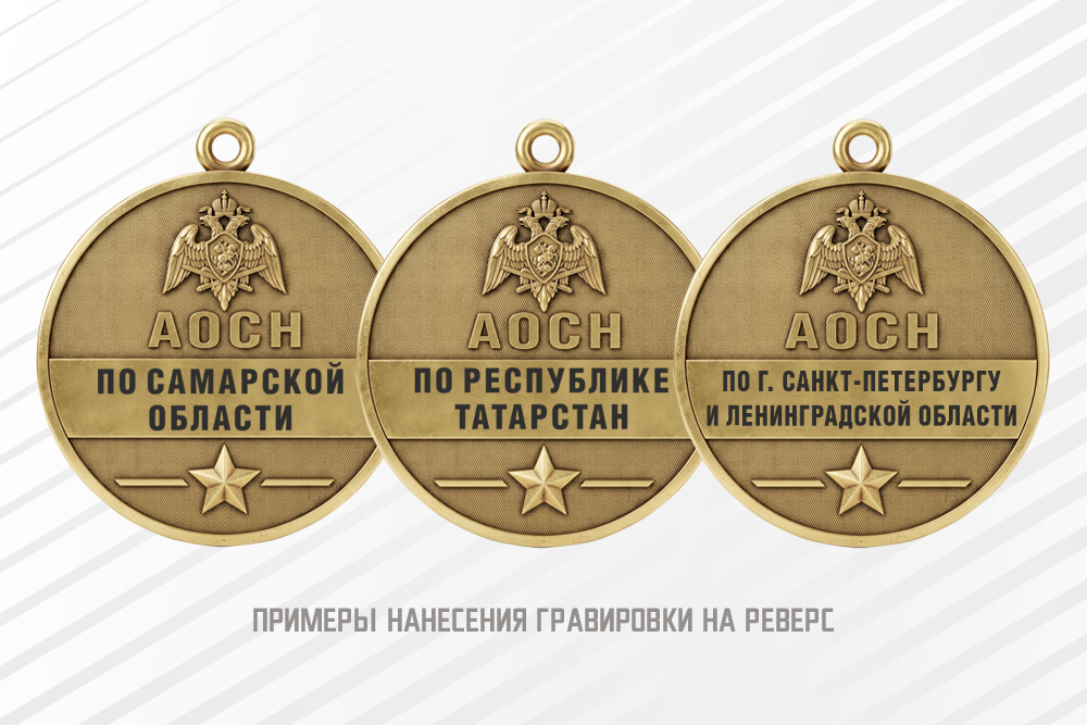 Медаль юбилейная «20 лет АОСН Росгвардии» с бланком удостоверения, дополнительное фото 1