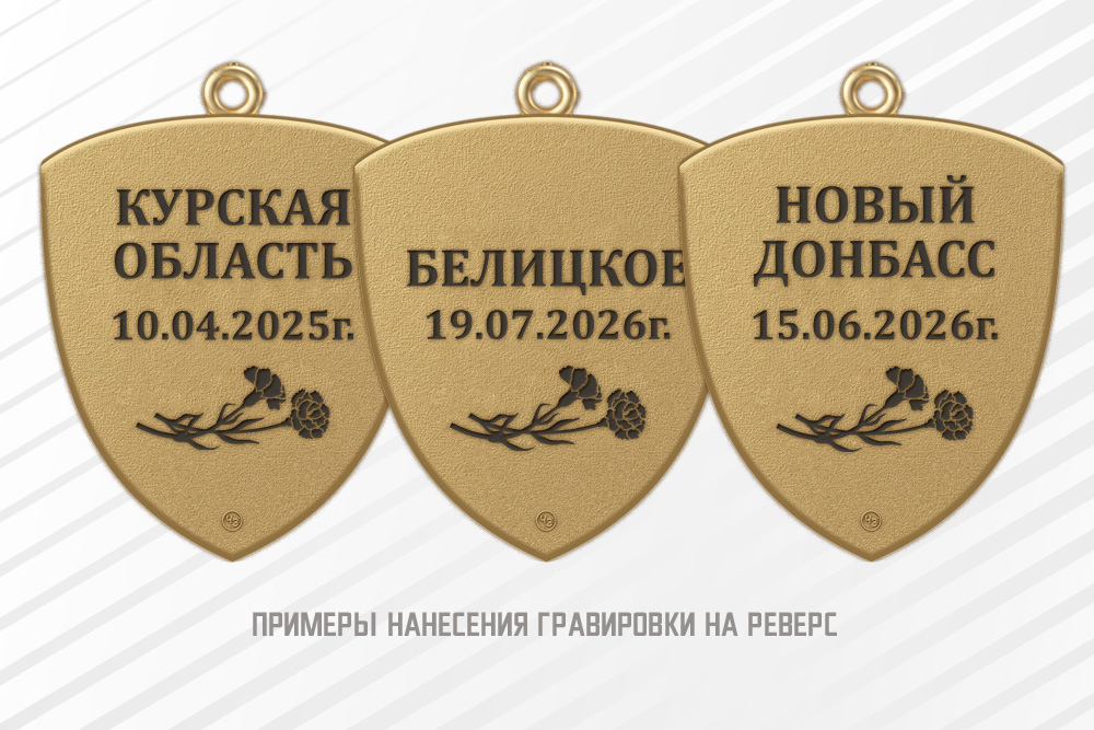 Наградной комплект к медальону «Родителям погибшего героя СВО», дополнительное фото 3