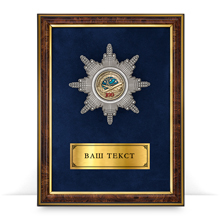 Панно с орденом «100 лет гражданской авиации»