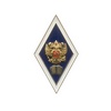 Академический знак (ромб) «Об окончании гуманитарного ВУЗа», с накл. гербом (2 пуссеты)