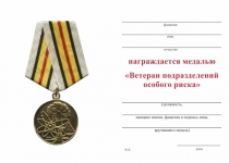 Удостоверение к награде Медаль «Ветеран подразделений особого риска» с бланком удостоверения