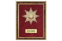 Удостоверение к награде VIP Орден на основе медали