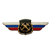 Должностной знак командира дивизии к ей равного соединения (ВМФ) №61