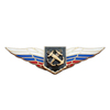 Должностной знак командира полка, авиационной базы, воинских частей морской авиации (ВМФ) №64