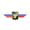 Должностной знак начальника военной академии (Военно-медицинская служба) №129