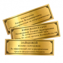 Удостоверение к награде Панно с орденом «30 лет Казначейству России»