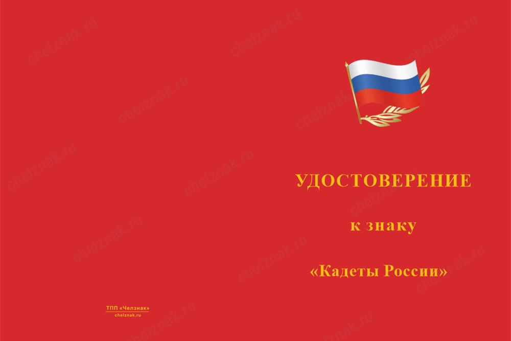 Лицевая сторона награды Нагрудный знак «Кадеты России» с бланком удостоверения