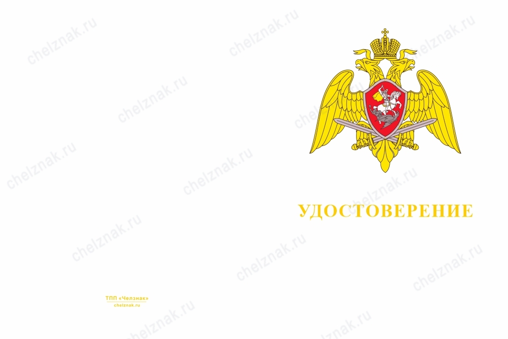 Лицевая сторона награды Медаль Росгвардии «Участнику специальной военной операции» с бланком удостоверения