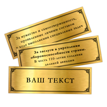Удостоверение к награде Панно с орденом «110 лет дальней авиации России»