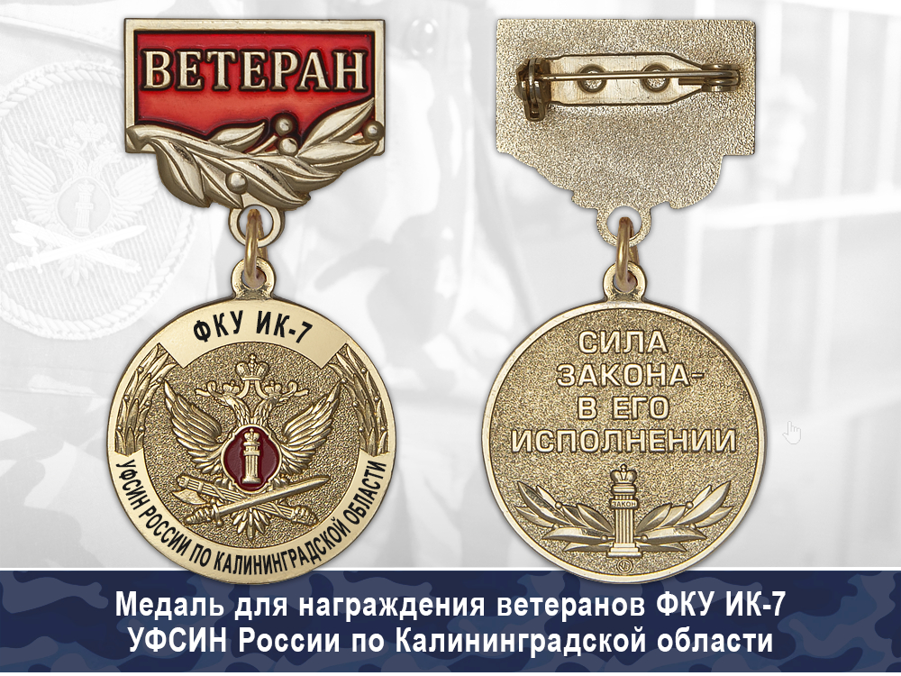 Обратная сторона награды Медаль ФКУ ИК-7 УФСИН России по Калининградской области с бланком удостоверения