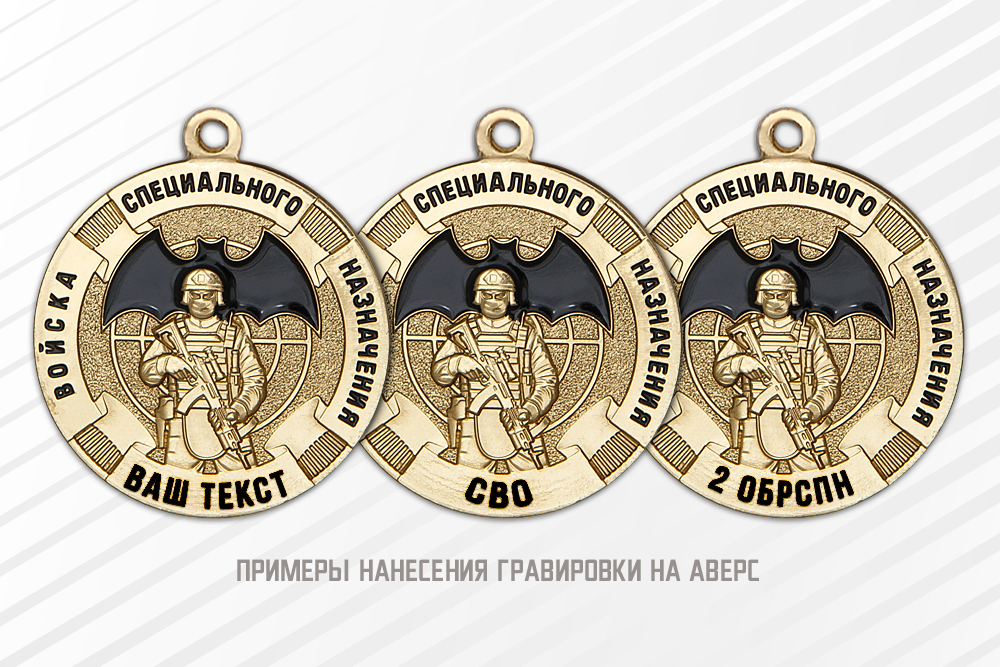 Медаль «За службу в войсках спецназа» с бланком удостоверения, дополнительное фото 1