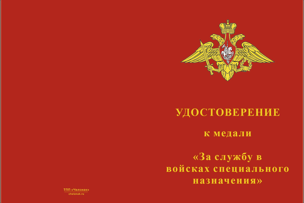 Бланк лицевая сторона Медаль «За службу в 294-м отряде специального назначения (294 оСпН)» с бланком удостоверения