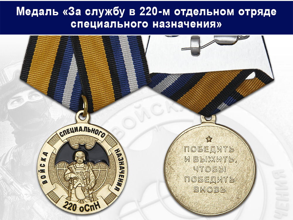 Лицевая сторона награды Медаль «За службу в 220-м отдельном отряде специального назначения (220 оСпН)» с бланком удостоверения