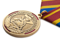 Медаль «За участие в спецоперации Z» с бланком удостоверения