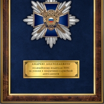 Панно с орденским знаком «100 лет патрульно-постовой службе»