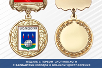 Медаль с гербом города Циолковского Амурской области с бланком удостоверения