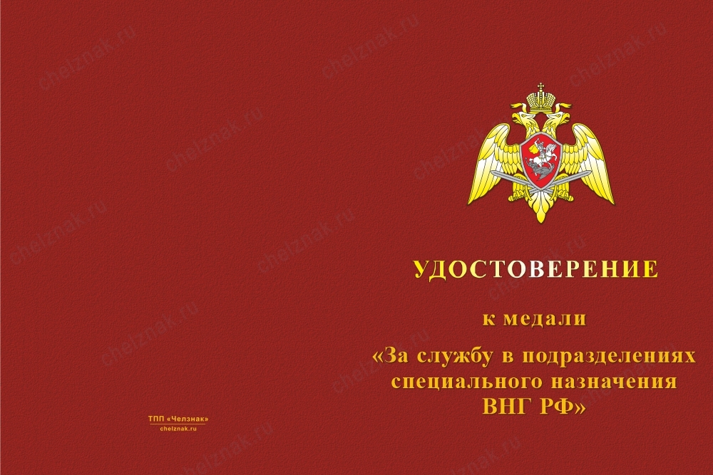 Лицевая сторона награды Медаль «За службу в Спецназе. 34 ООСпН» с бланком удостоверения