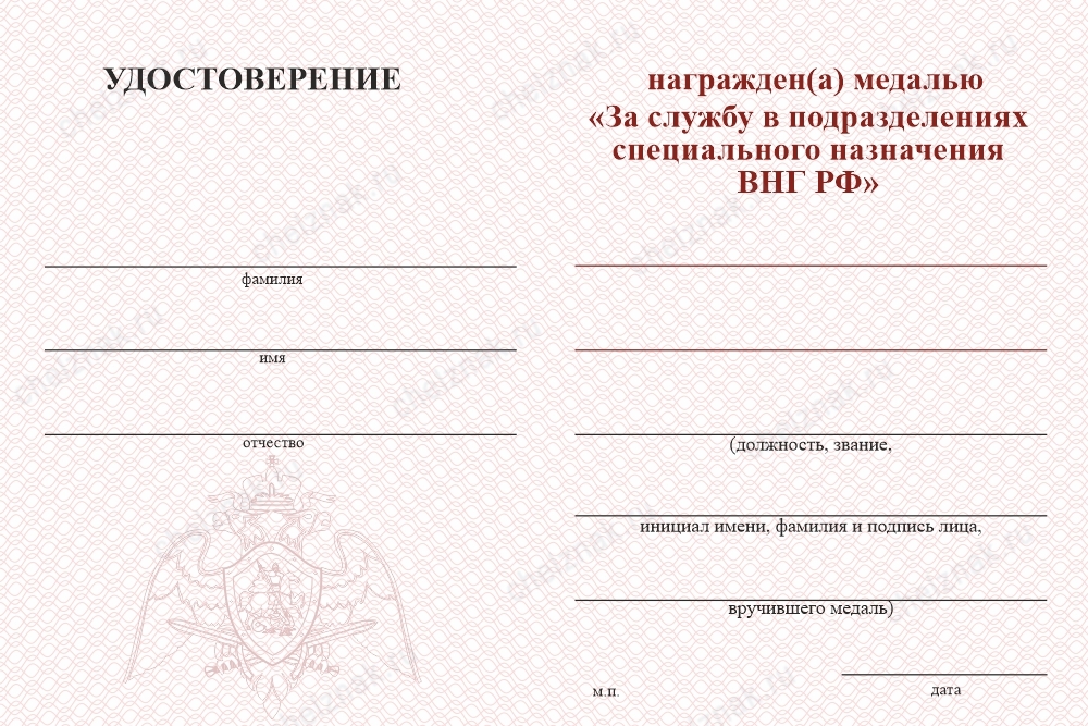 Обратная сторона награды Медаль «За службу в Спецназе. 34 ООСпН» с бланком удостоверения