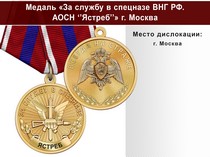 Медаль «За службу в Спецназе. АОСН "Ястреб"» с бланком удостоверения