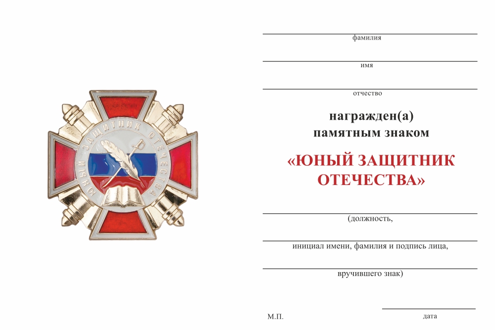 Бланк оборотная сторона Знак «Юный защитник Отечества» с бланком удостоверения