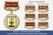 Медаль с гербом города Новороссийска Краснодарского края с бланком удостоверения