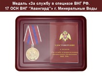 Медаль «За службу в 17 ОСН ВНГ "Авангард"» с бланком удостоверения