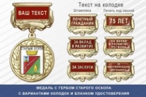 Медаль с гербом города Старого Оскола Белгородской области с бланком удостоверения