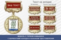 Медаль с гербом города Камышина Волгоградской области с бланком удостоверения
