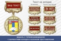 Медаль с гербом города Домодедово Московской области с бланком удостоверения