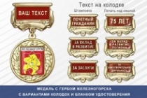 Медаль с гербом города Железногорска Красноярского края с бланком удостоверения